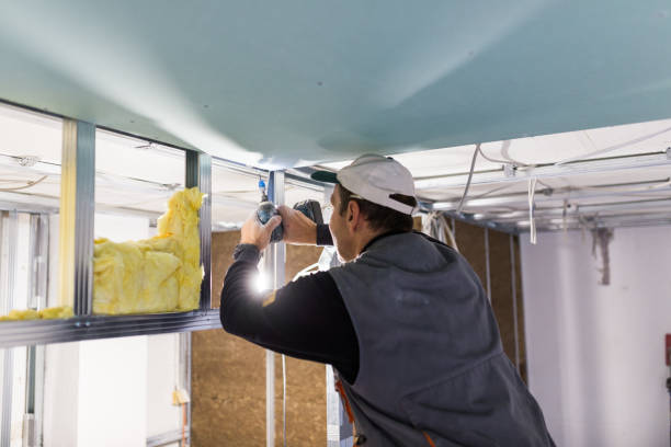 Best Garage Insulation Installation  in Wailuku, HI