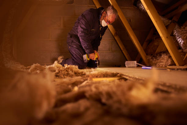 Garage Insulation Installation in Wailuku, HI